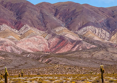 Parque Nacional Los Cardones