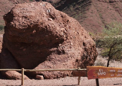 El Sapo de la Quebrada de las Conchas en Cafayate